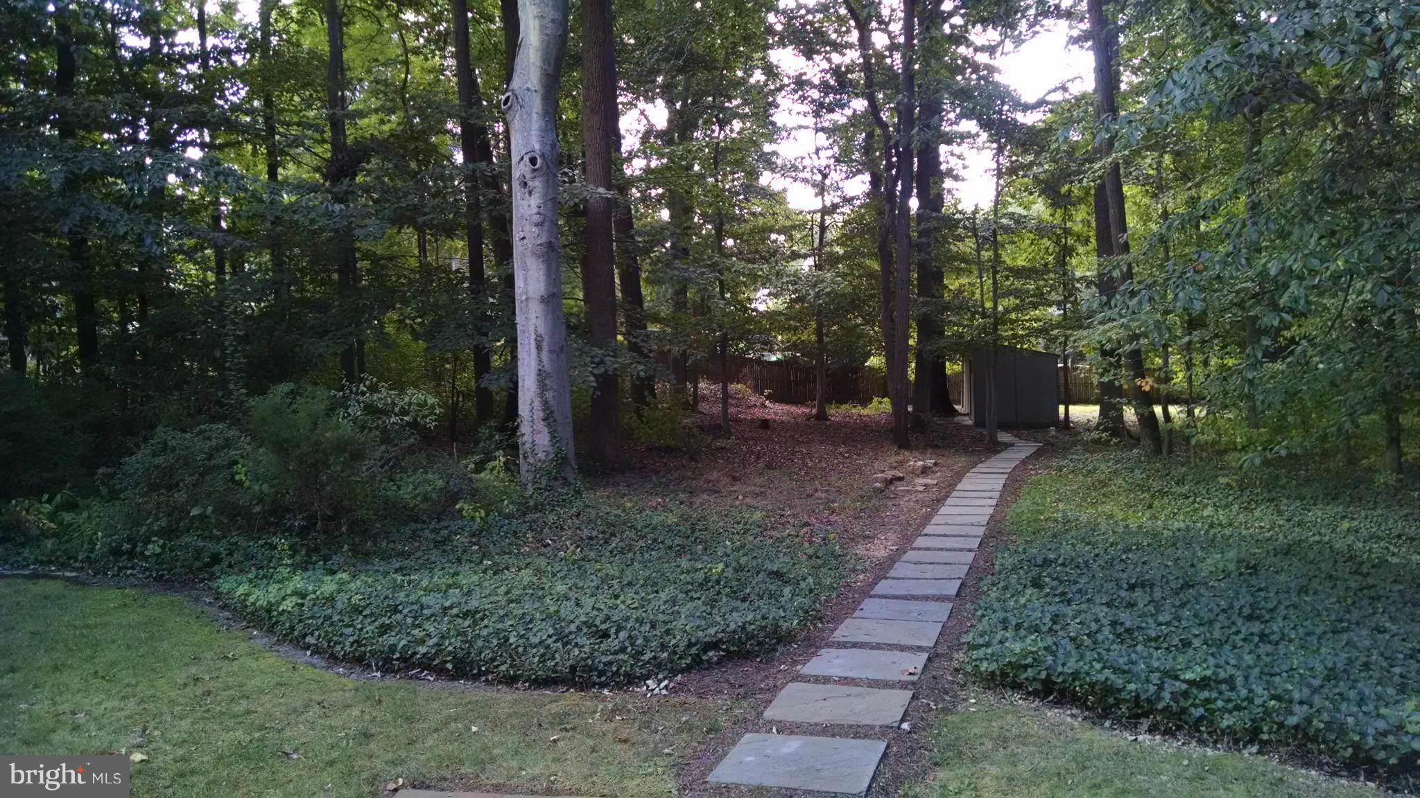 7205 Homestead Place Springfield, VA 22151 - Photo 2 of 30 View