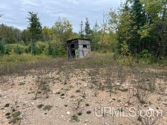 Tbd Oro Road Spalding, MI 49886 - Photo 18 of 22 Gallery Image 18