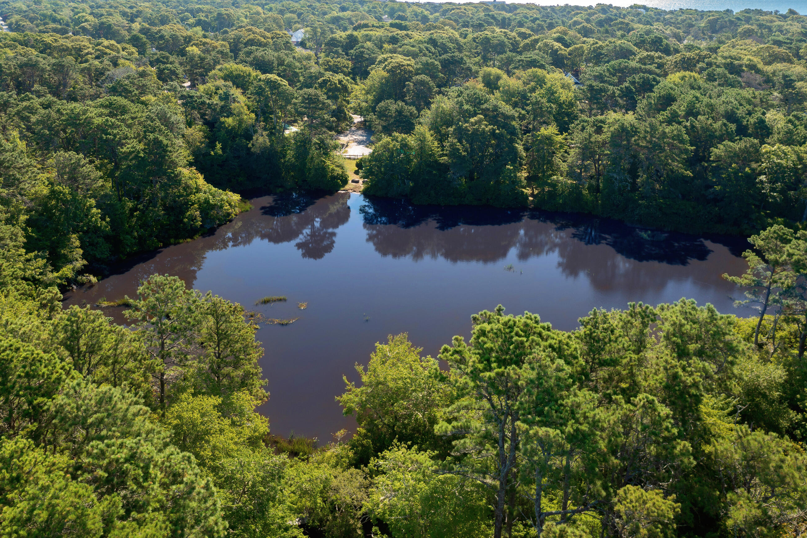 209 Lower County Road Dennis Port, MA 02639 - Photo 30 of 39 an aerial view of a house with a yard