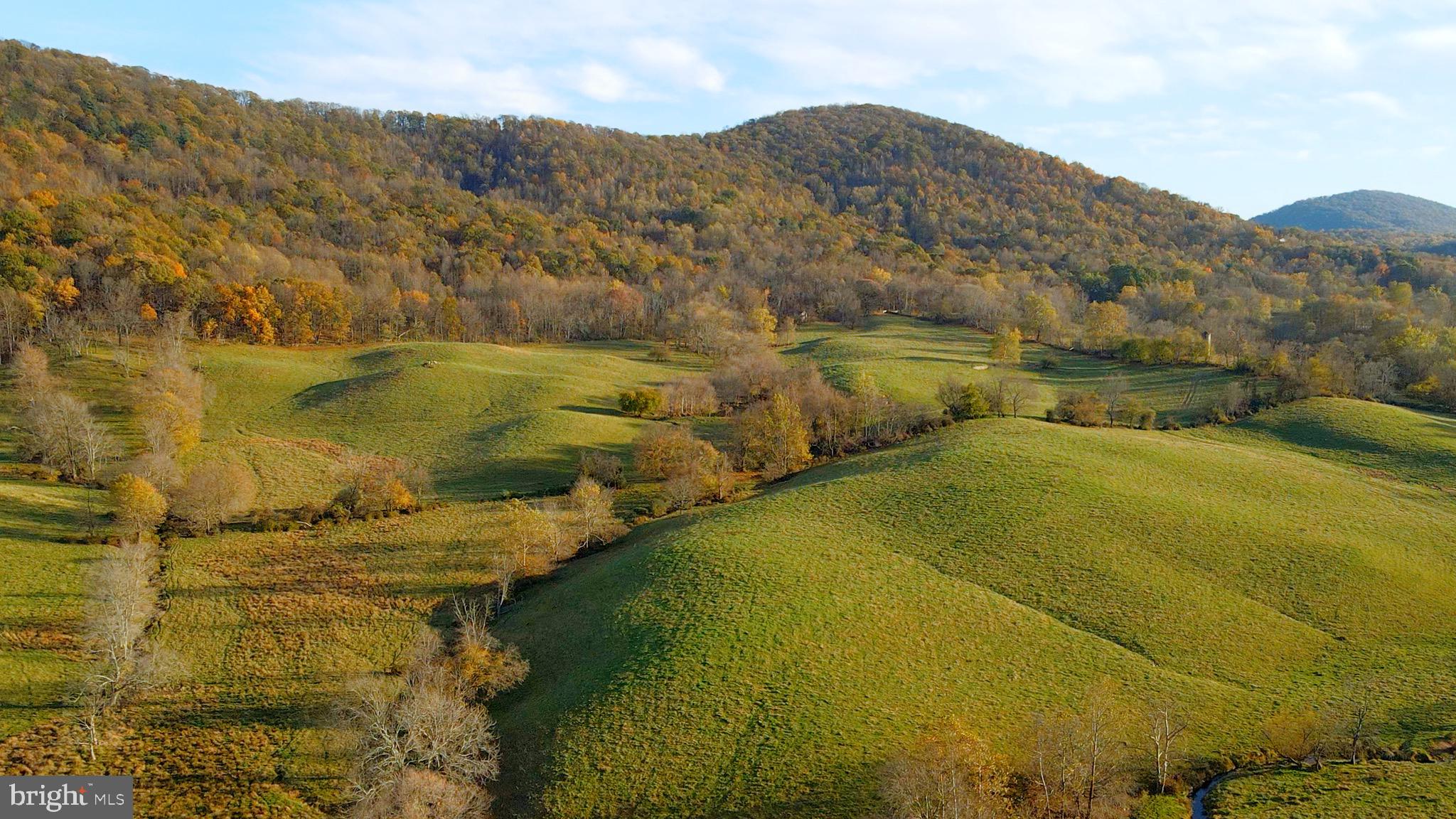 Carrington Road Delaplane, VA 20144 - Photo 5 of 11 Gallery Image 5
