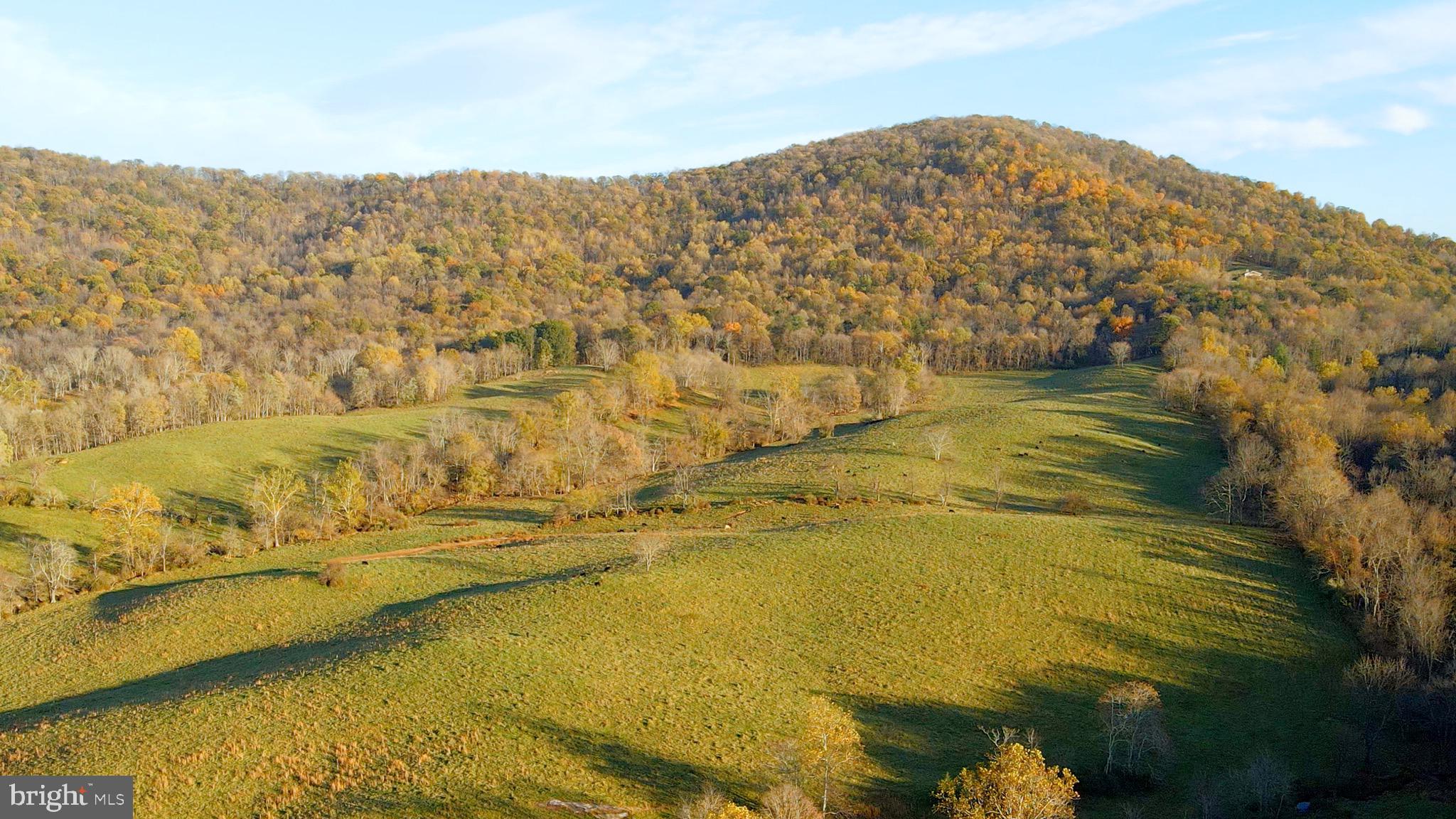 Carrington Road Delaplane, VA 20144 - Photo 8 of 11 Gallery Image 8