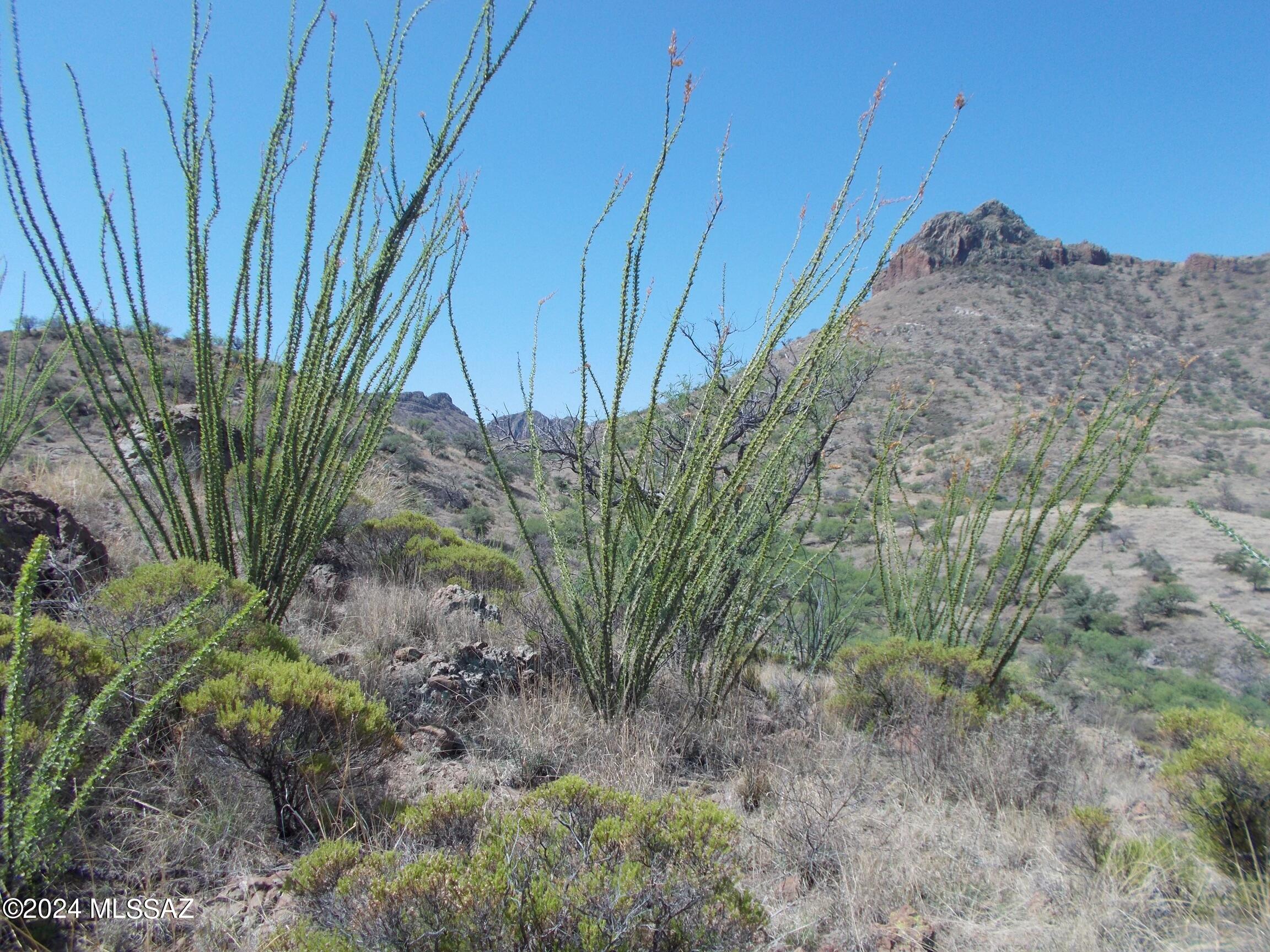 Tbd Montezuma Well Road, Unit 158/5 Nogales, AZ 85621 - Photo 9 of 11