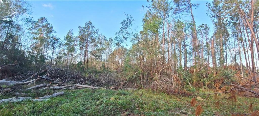 0 Carl Gimnick Road Dequincy, LA 70633 - Photo 1 of 2 Gallery Image 1