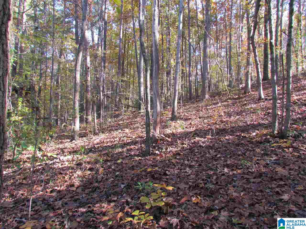 55 Jug Hollow Road Piedmont, AL 36272 - Photo 17 of 19
