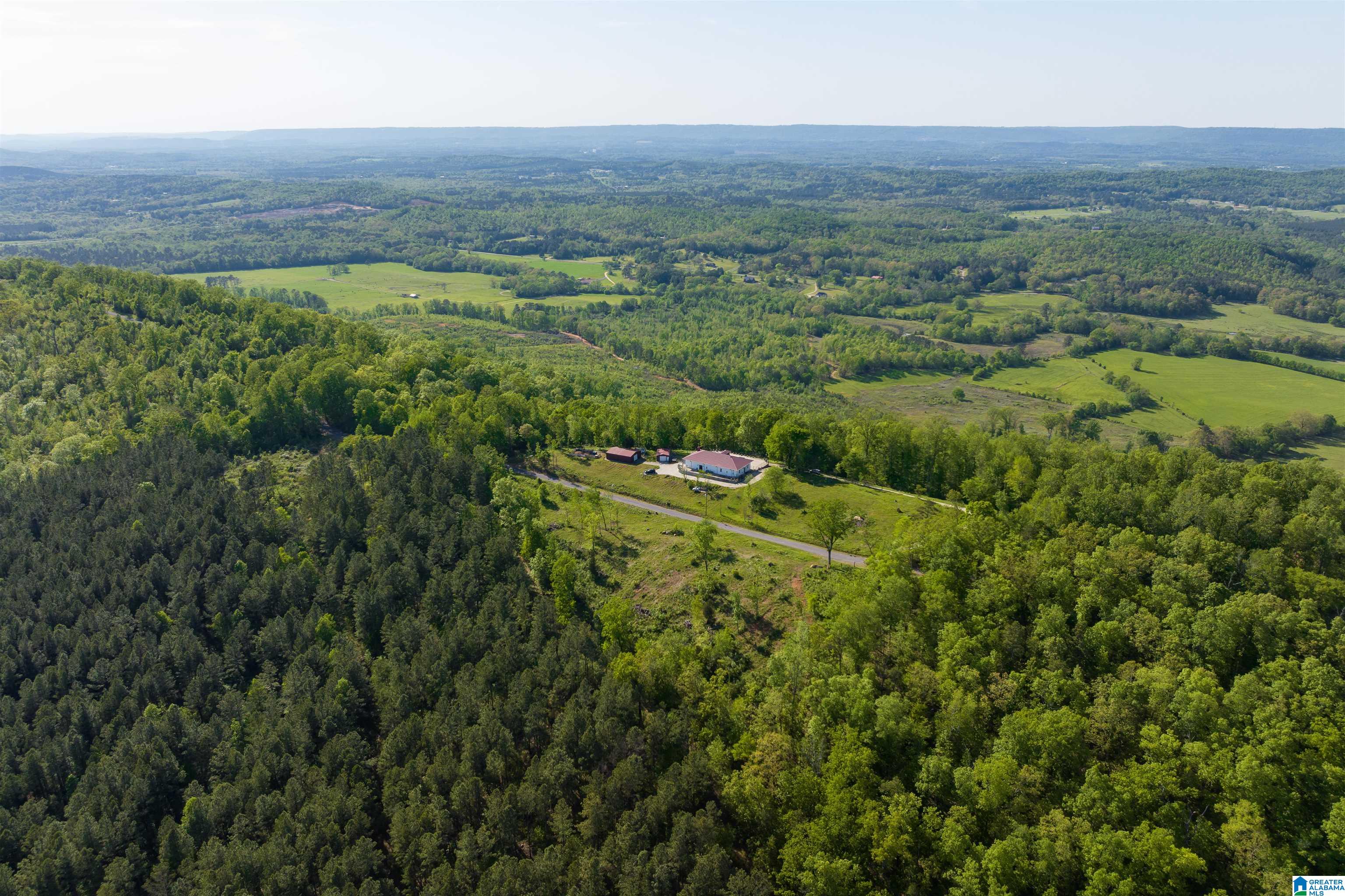 1905 Beaver Mountain Road Ashville, AL 35953 - Photo 11 of 48