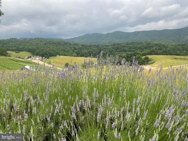 $4,900,000 | 3899 Eakin Farm Road, Blacksburg, VA 24060