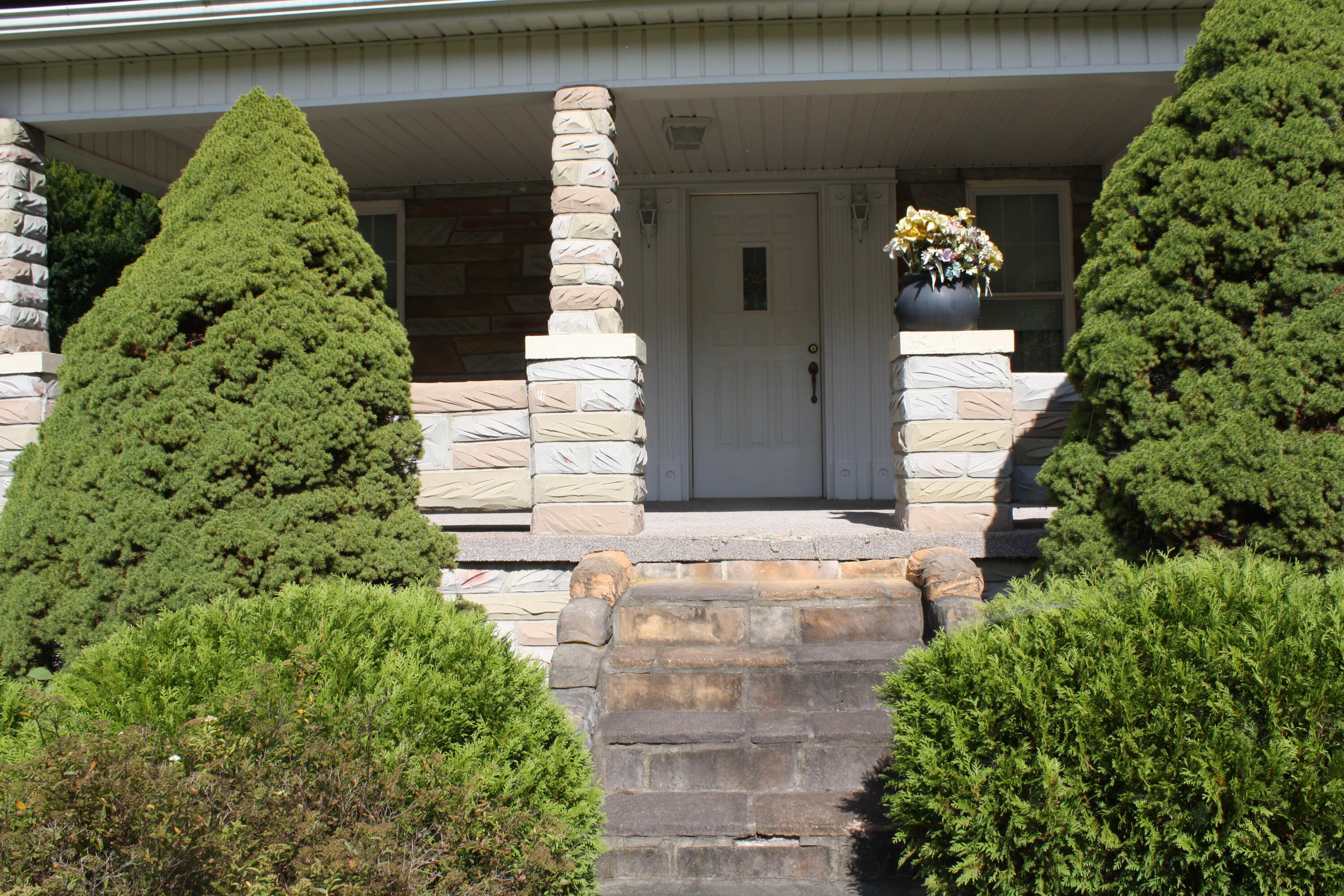 6733 Beech Run Road Nimitz, WV 25978 - Photo 12 of 70 Gallery Image 12