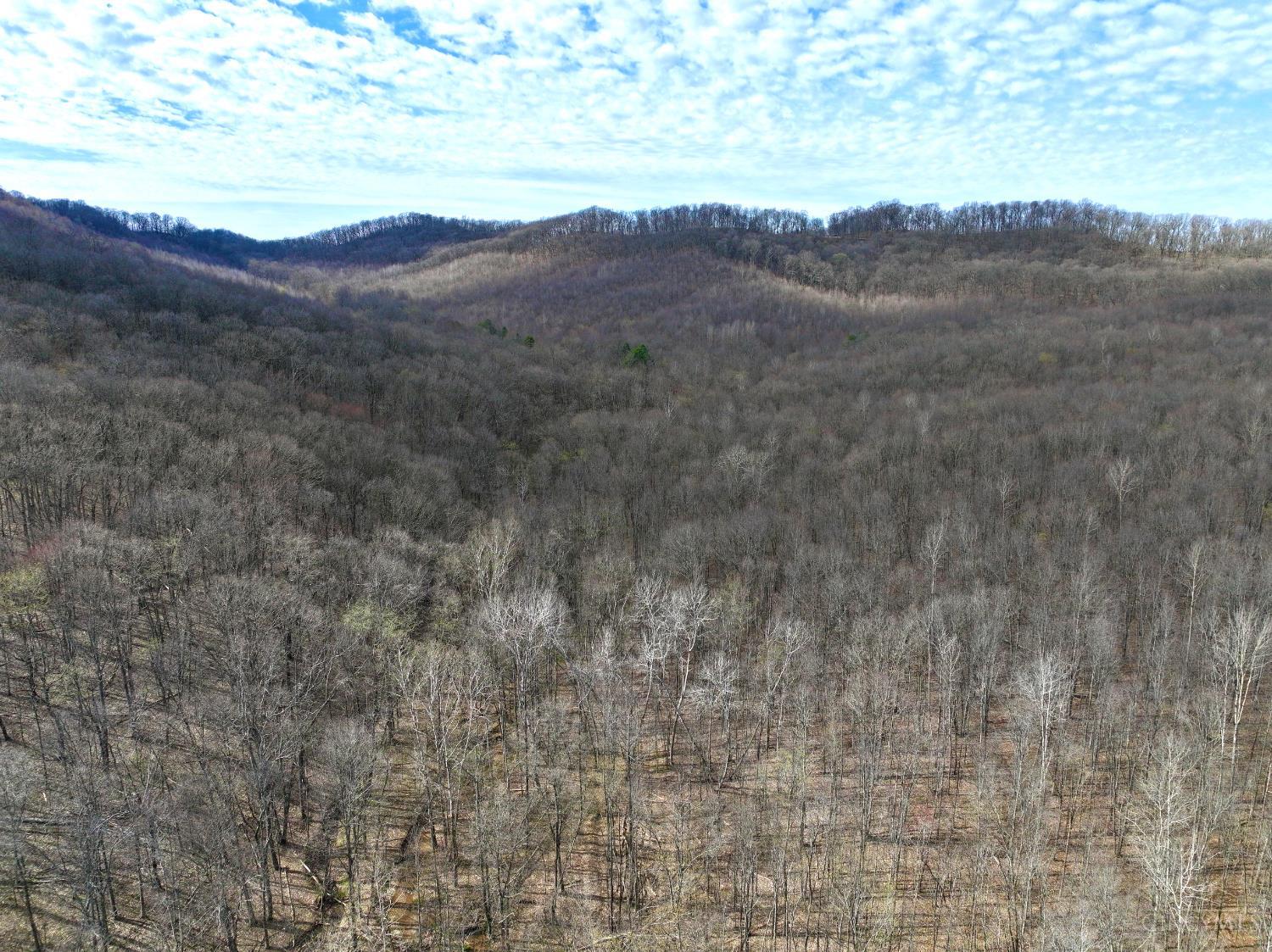 0 Fyffe Hollow Road Chillicothe, OH 45601 - Photo 34 of 96
