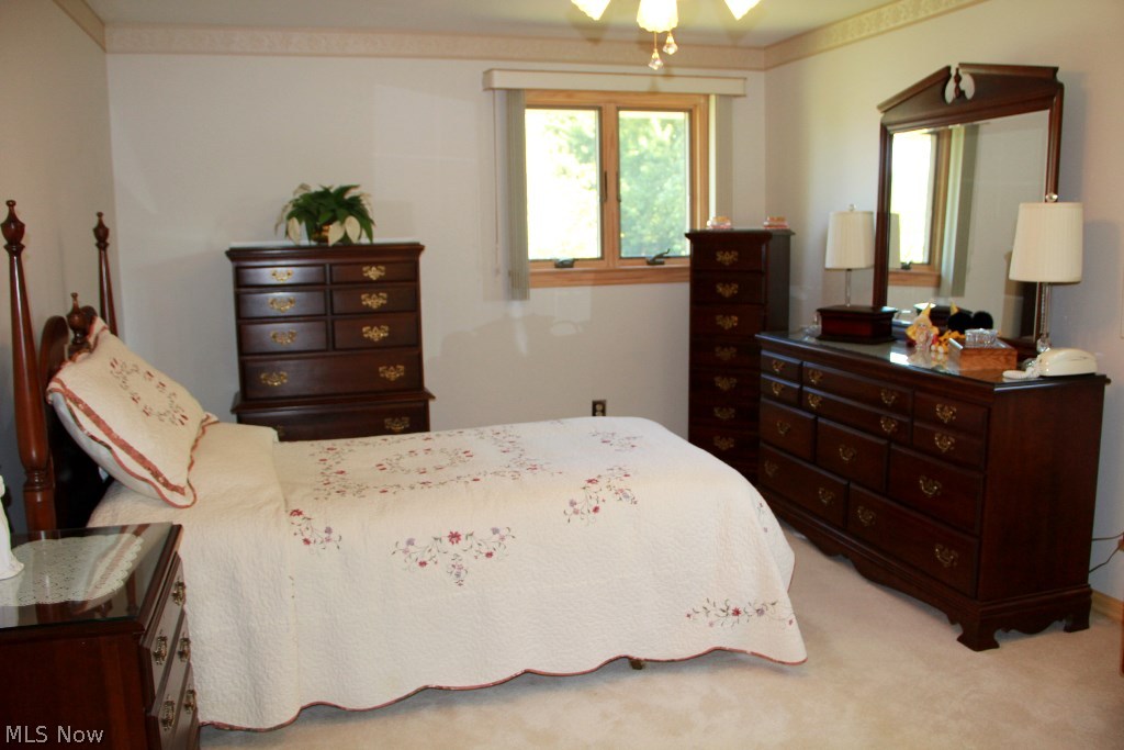 941 Millridge Road Cleveland, OH 44143 - Photo 15 of 22 Gallery Image 15