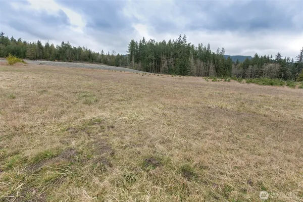 a view of dirt field with trees in background