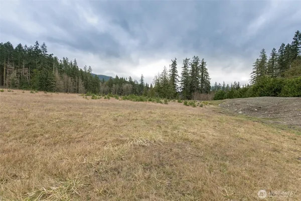 a view of a field with trees in background