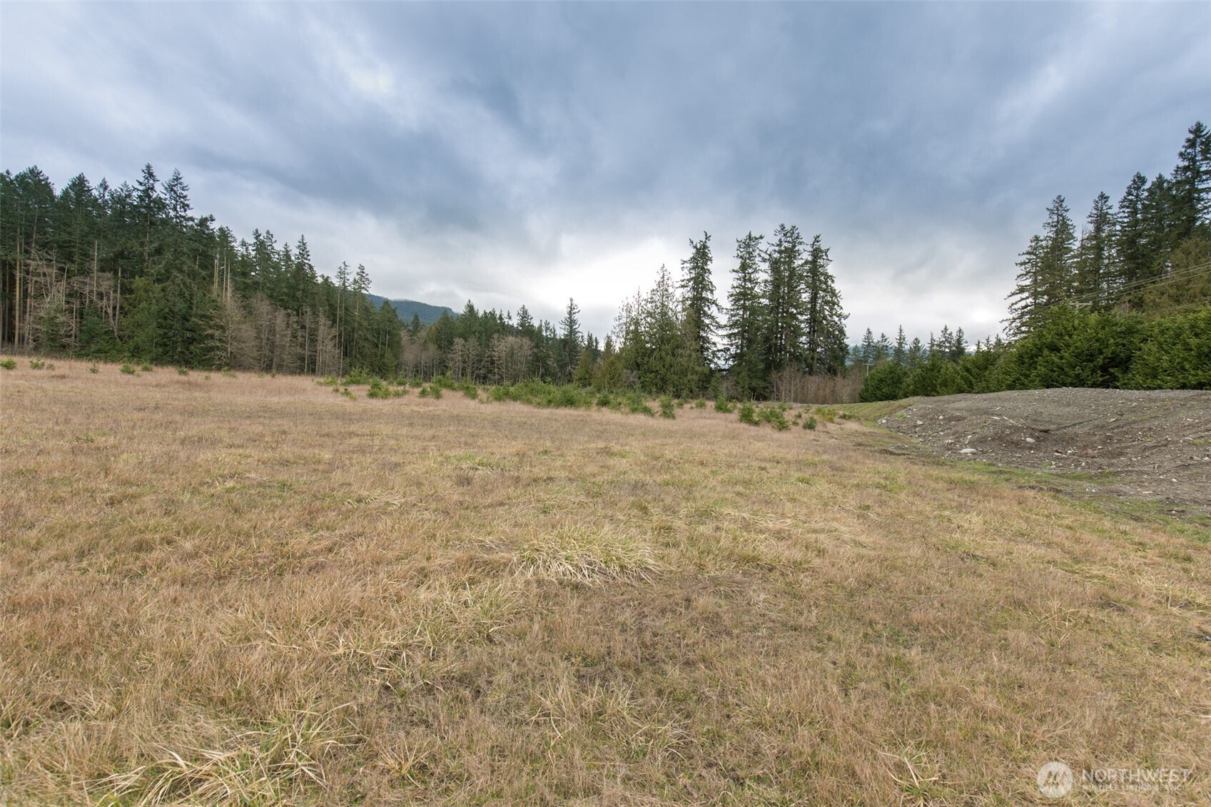 1 Highway 101 Sequim, WA 98382 - Photo 18 of 20 a view of dirt field with trees in background