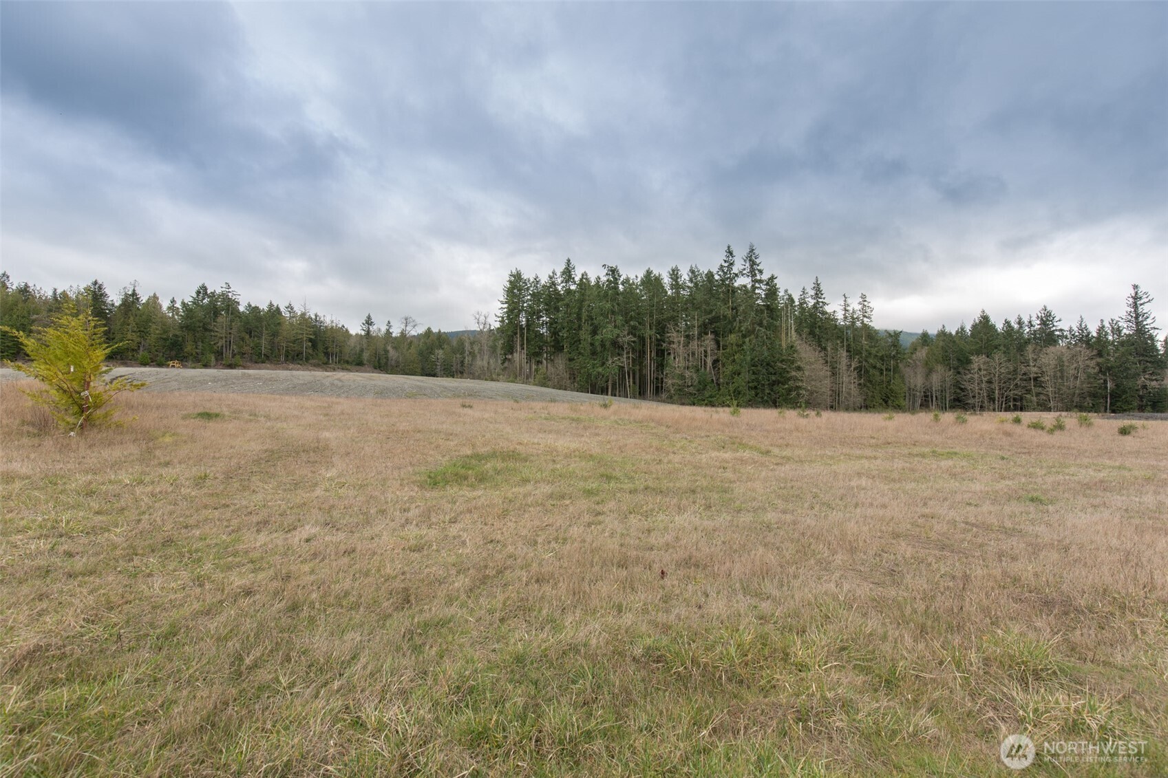 1 Highway 101 Sequim, WA 98382 - Photo 19 of 20 a view of a field with trees in background