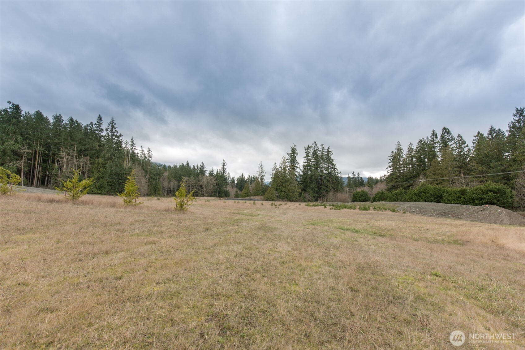 1 Highway 101 Sequim, WA 98382 - Photo 20 of 20 a view of dirt field with trees in background