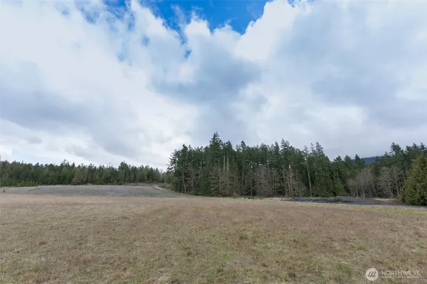 a view of a field with trees in background