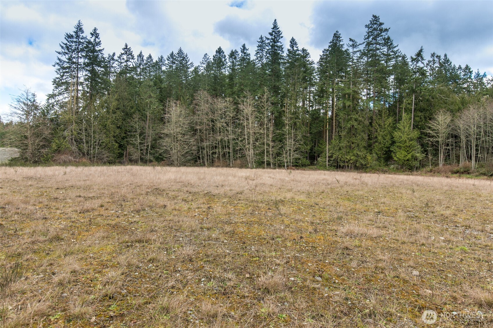 1 Highway 101 Sequim, WA 98382 - Photo 9 of 20 a view of outdoor space with trees all around