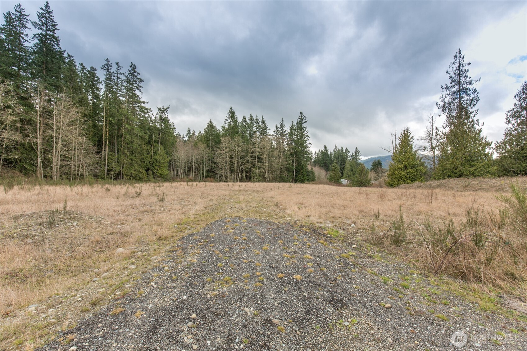1 Highway 101 Sequim, WA 98382 - Photo 10 of 20 a view of a dry yard with trees