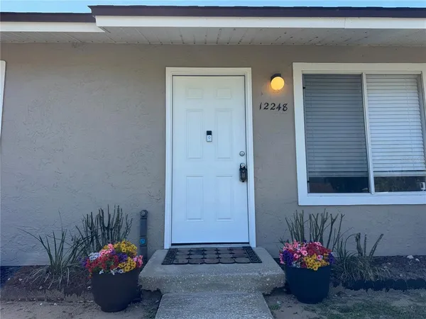 a view of a potted plant in front of a door