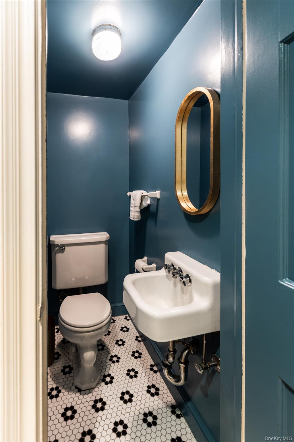 20 Mill Spring Road Manhasset, NY 11030 - Photo 6 of 17 a bathroom with a sink a toilet and a mirror