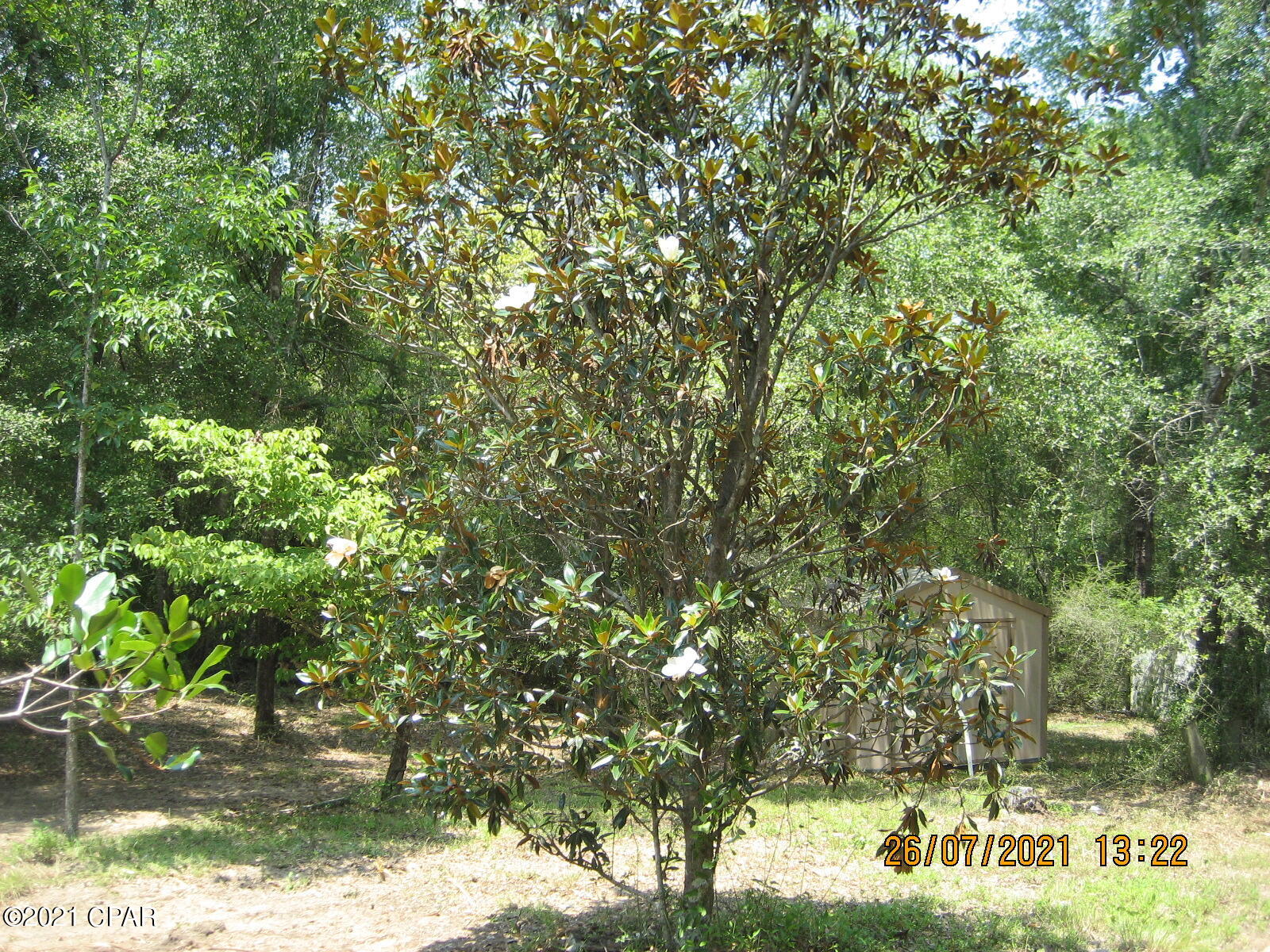 2926 Territory Road Chipley, FL 32428 - Photo 27 of 40 Gallery Image 27