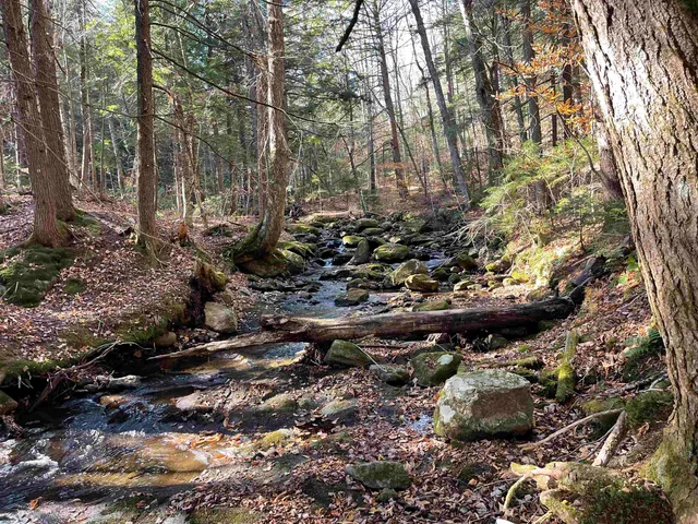 $774,000 | Lot 5 Old Mill Crossing, Wilmington, VT 05363