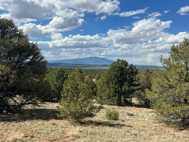 96 River Ridge Trail Walsenburg, CO 81089 - Photo 12 of 28