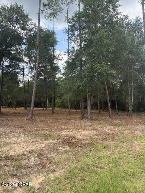 0 Forest Glen Road Fountain, FL 32438 - Photo 1 of 10