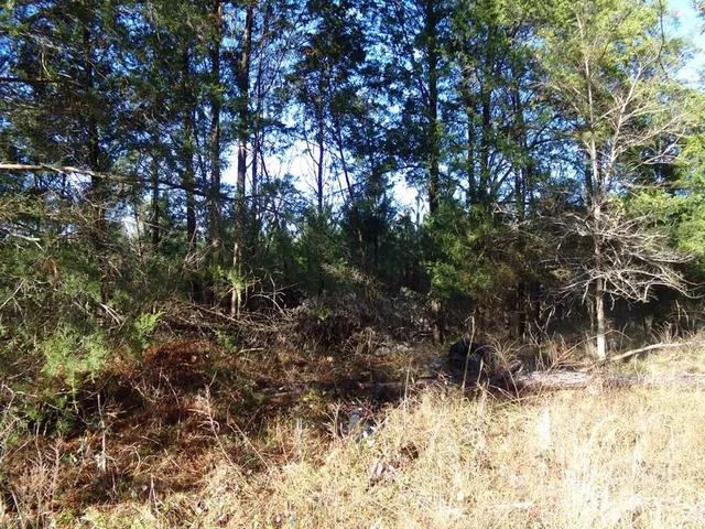 a view of a yard covered in snow