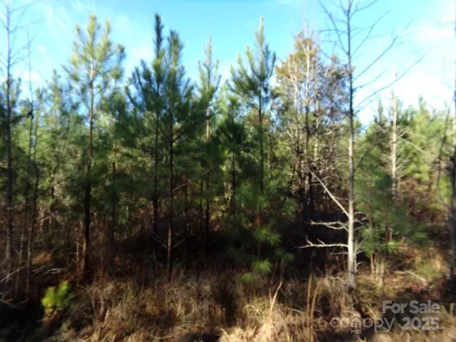 a backyard of a house with lots of green space and trees all around