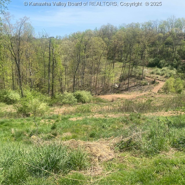 4429 Manilla Ridge Road Leon, WV 25123 - Photo 48 of 50 Gallery Image 48