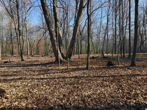 $235,000 | 25-acres Lerch, Arlington, WI 53911