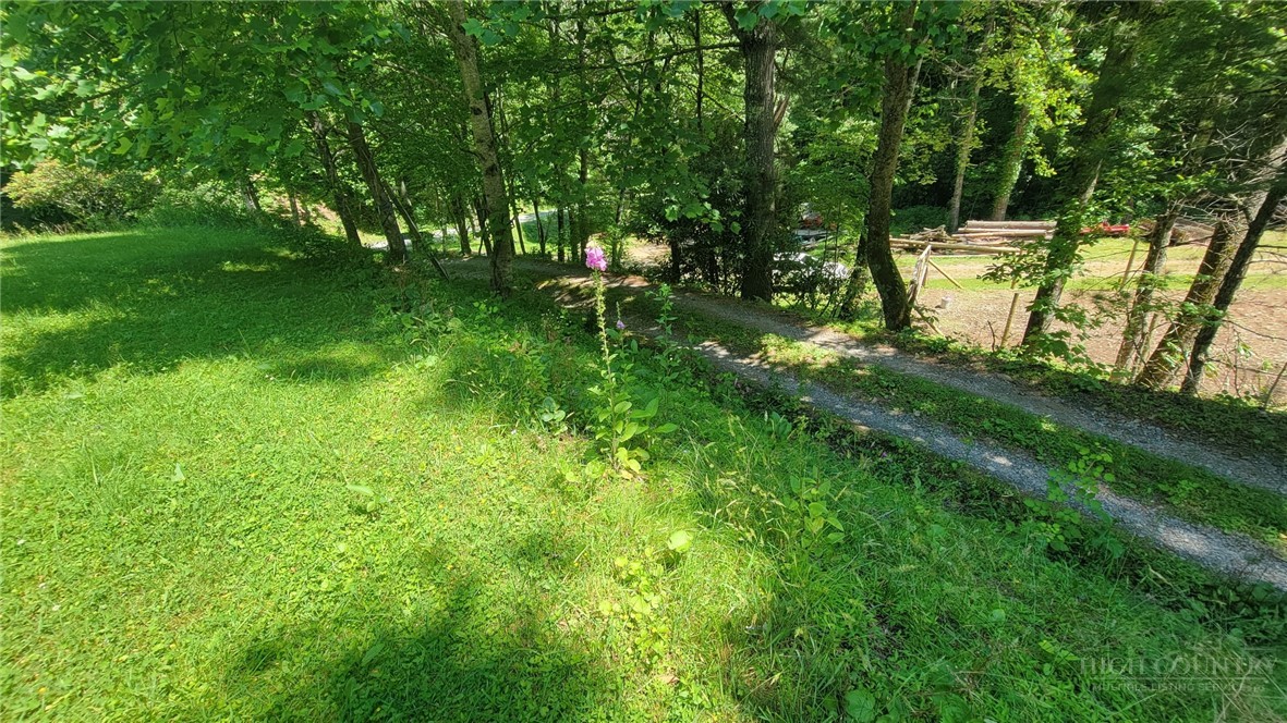 737 Lower Crab Orchard Road Banner Elk, NC 28604 - Photo 9 of 14