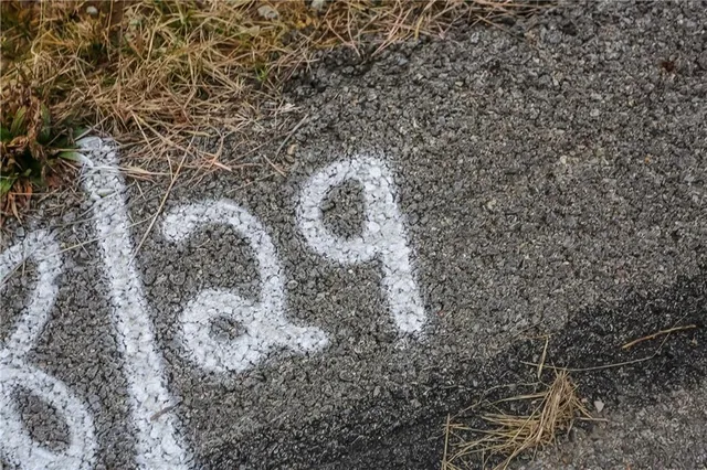 a close up of a plant