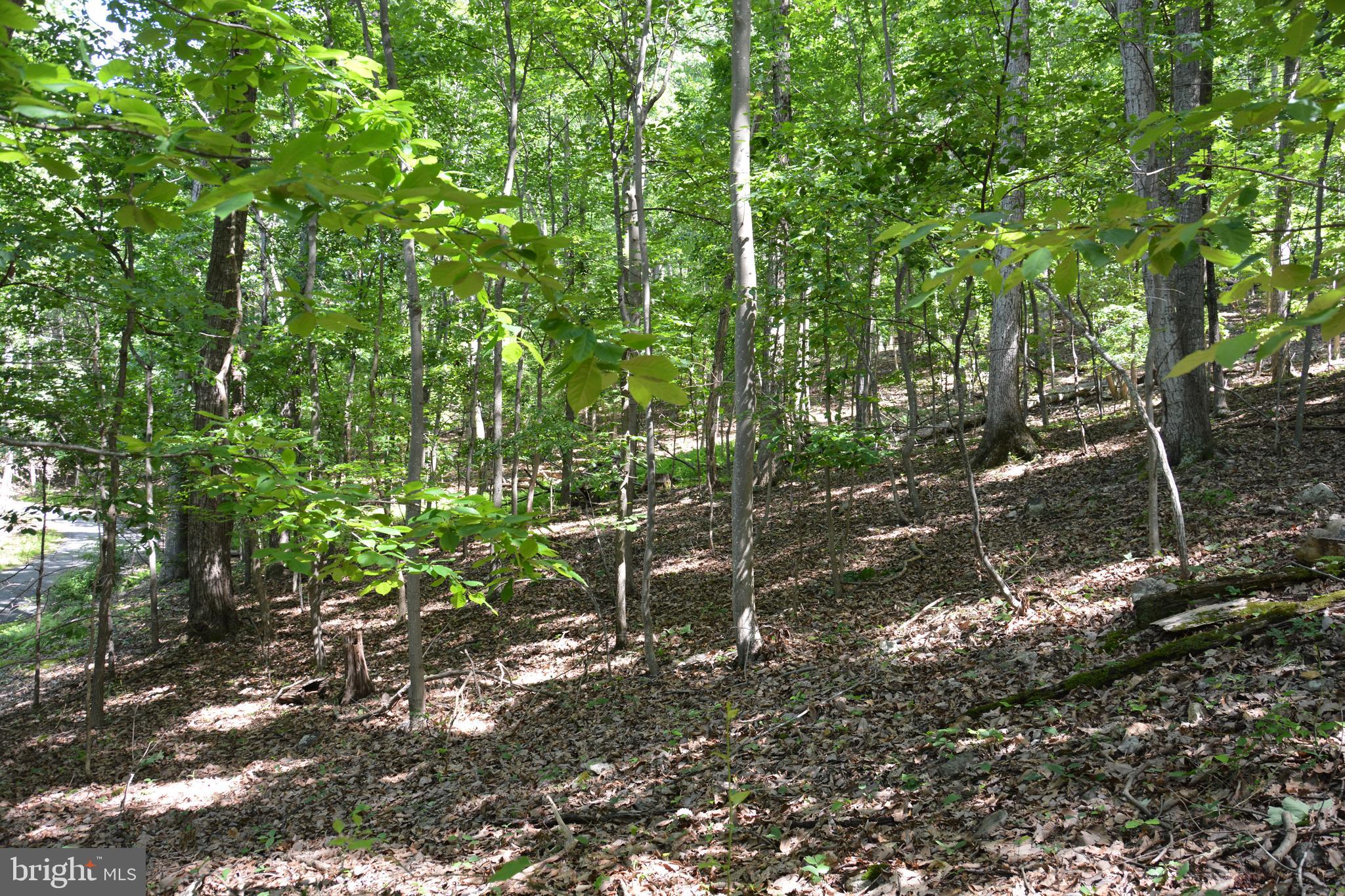 59 60 61 Baldwin Road Front Royal, VA 22630 - Photo 17 of 23