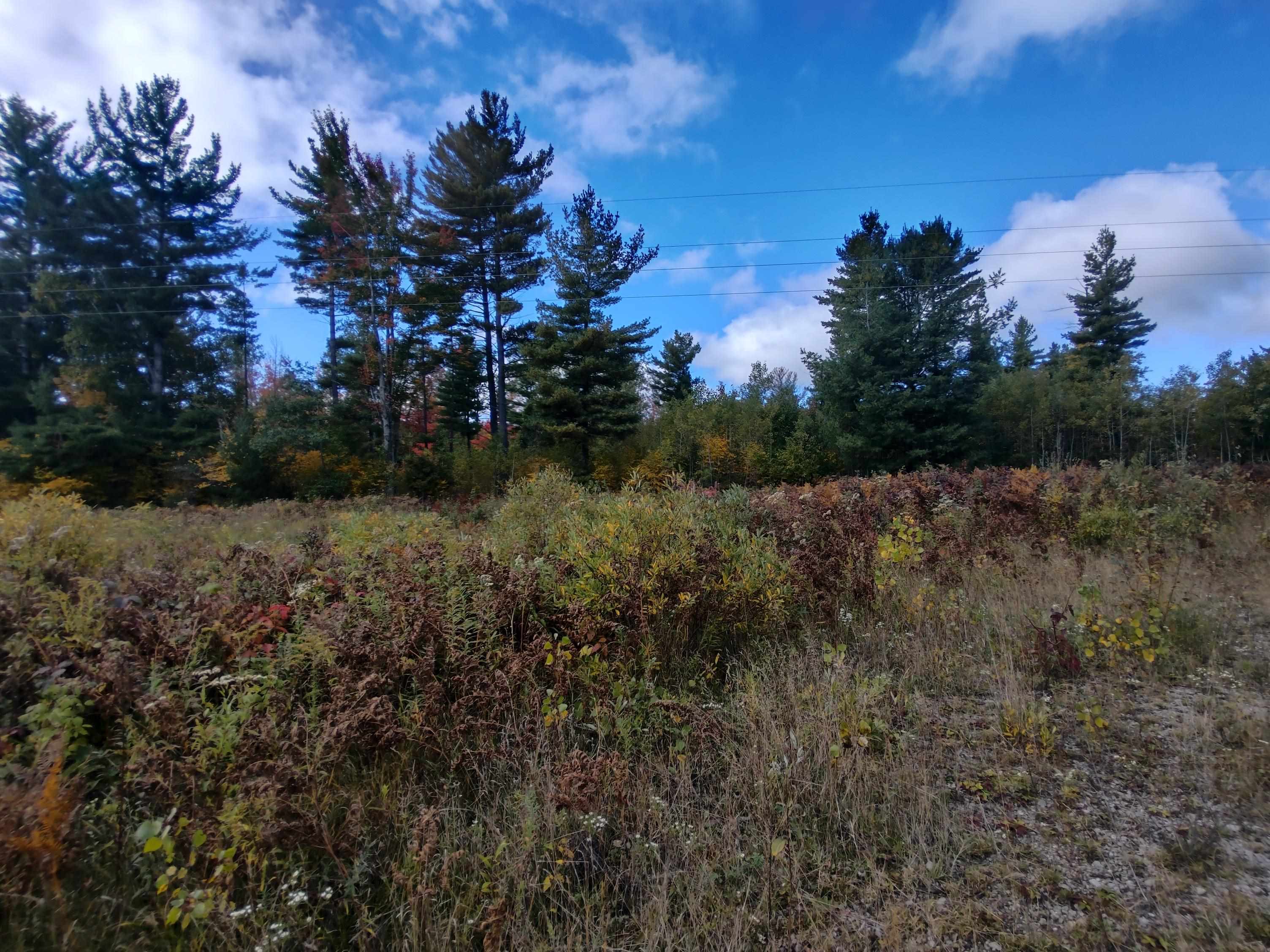 N/a North Fire Road Twining, MI 48766 - Photo 2 of 7