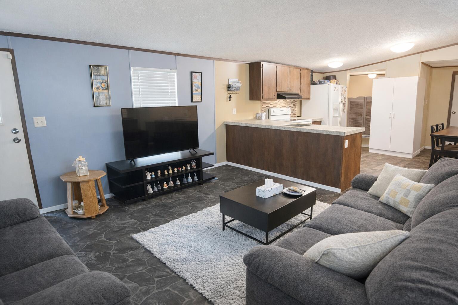 746 Madison Street Ehrhardt, SC 29081 - Photo 3 of 22 Living Room
