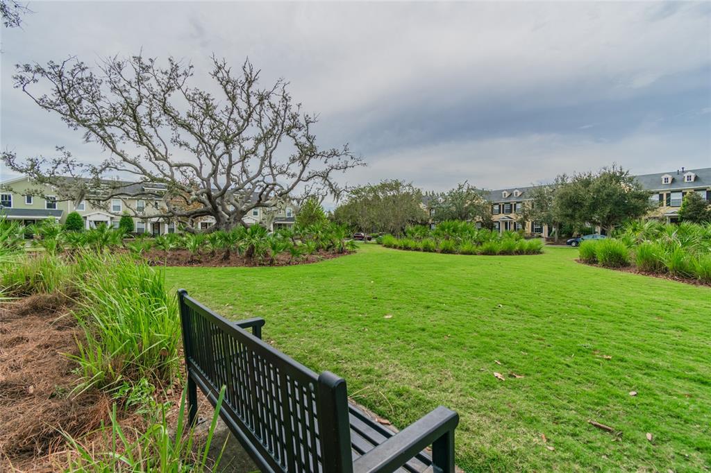 10356 Fenceline Road New Port Richey, FL 34655 - Photo 56 of 74 Gallery Image 56
