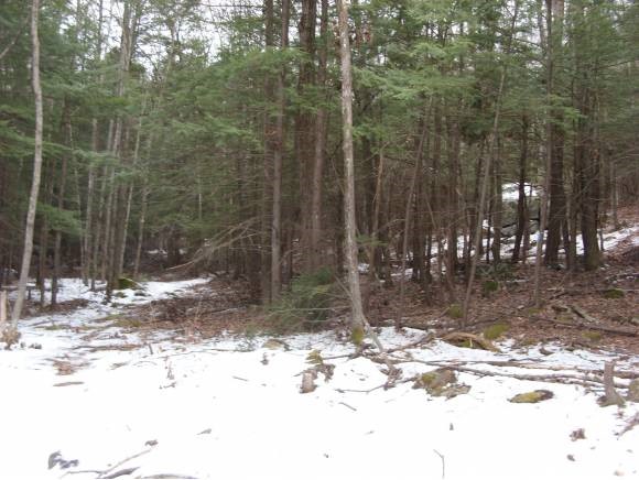 2 Beechtree Way Amherst, NH 03031 - Photo 11 of 15