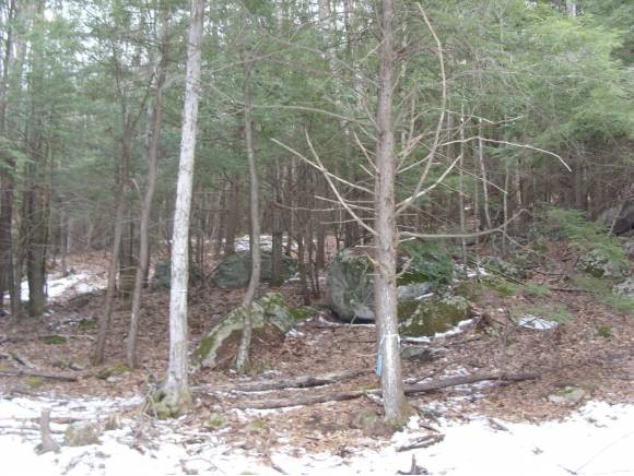 2 Beechtree Way Amherst, NH 03031 - Photo 12 of 15