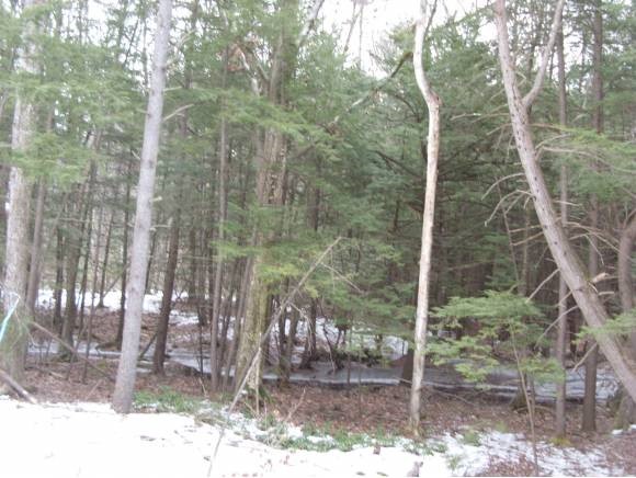 2 Beechtree Way Amherst, NH 03031 - Photo 13 of 15