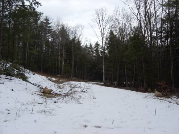2 Beechtree Way Amherst, NH 03031 - Photo 14 of 15