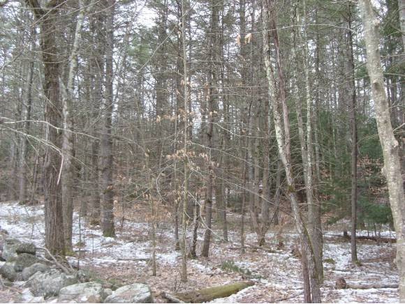 2 Beechtree Way Amherst, NH 03031 - Photo 15 of 15