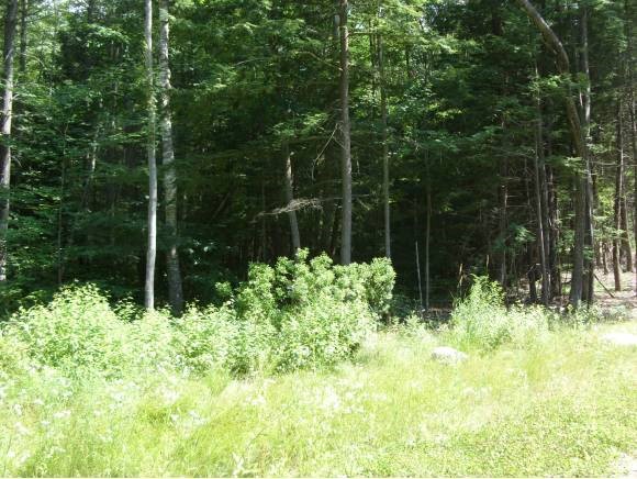 2 Beechtree Way Amherst, NH 03031 - Photo 5 of 15