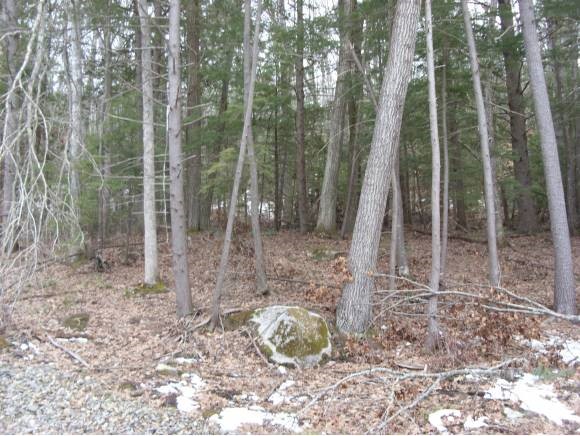 2 Beechtree Way Amherst, NH 03031 - Photo 7 of 15