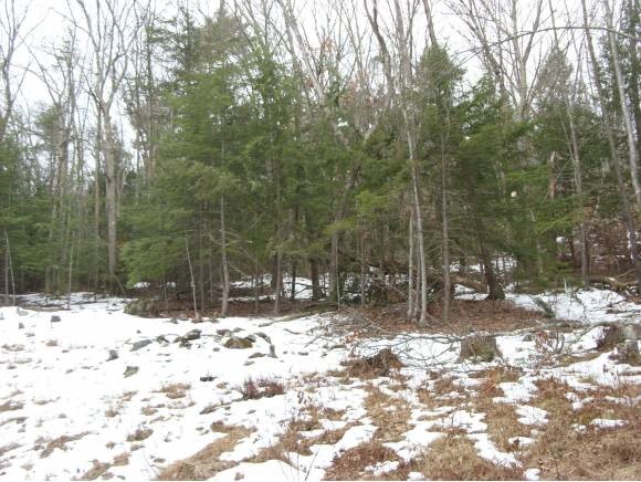 2 Beechtree Way Amherst, NH 03031 - Photo 9 of 15