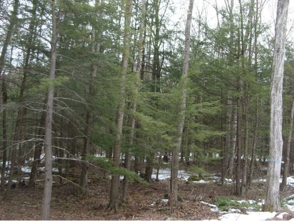 2 Beechtree Way Amherst, NH 03031 - Photo 10 of 15