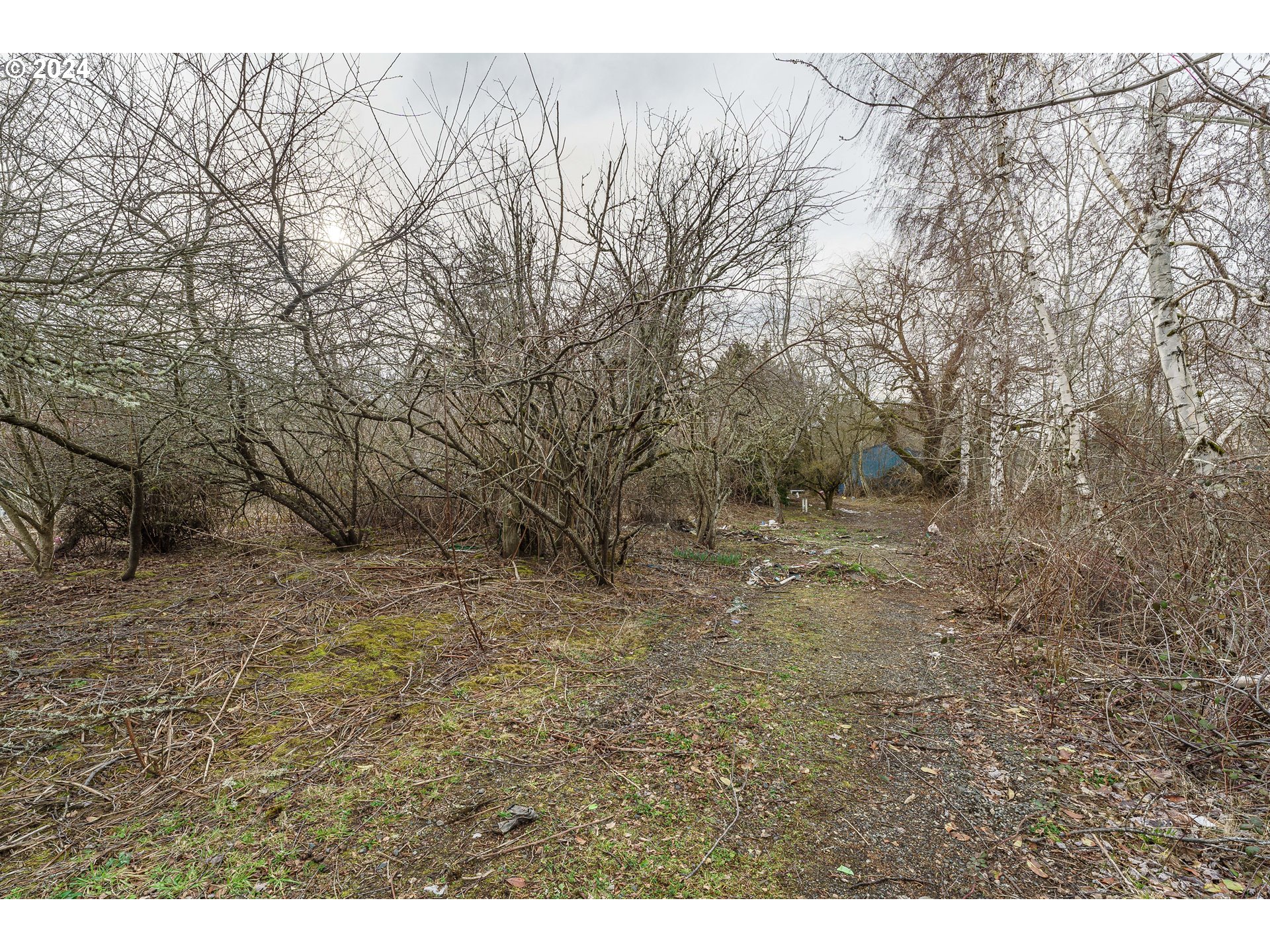 2505 Southeast Troutdale Road Troutdale, OR 97060 - Photo 20 of 32