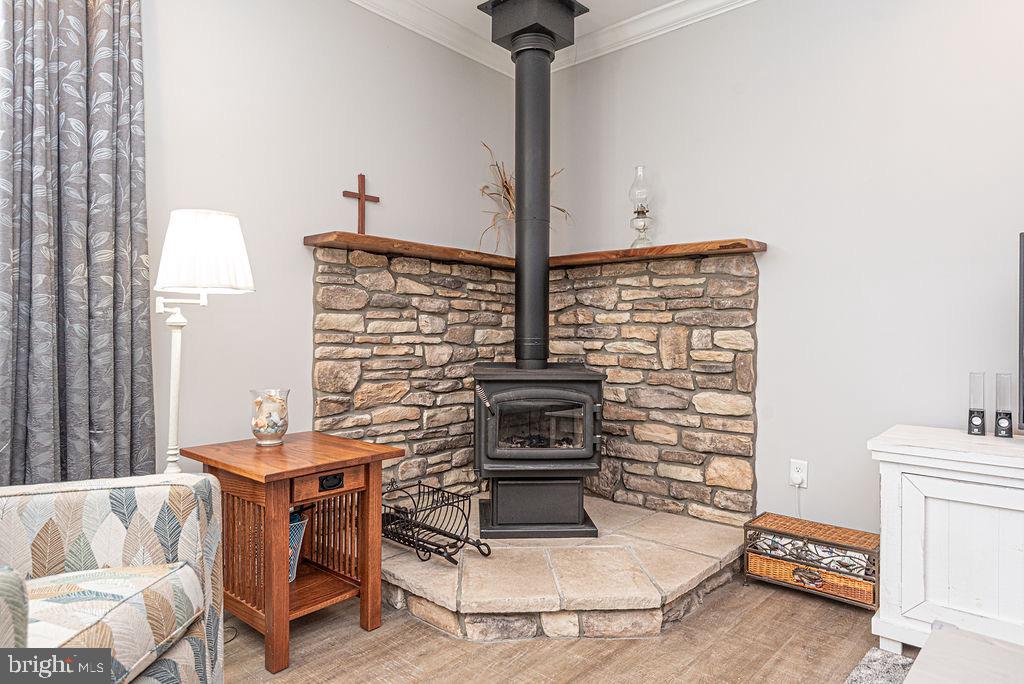 11910 Back Creek Road Bishopville, MD 21813 - Photo 21 of 94 Wood Stove