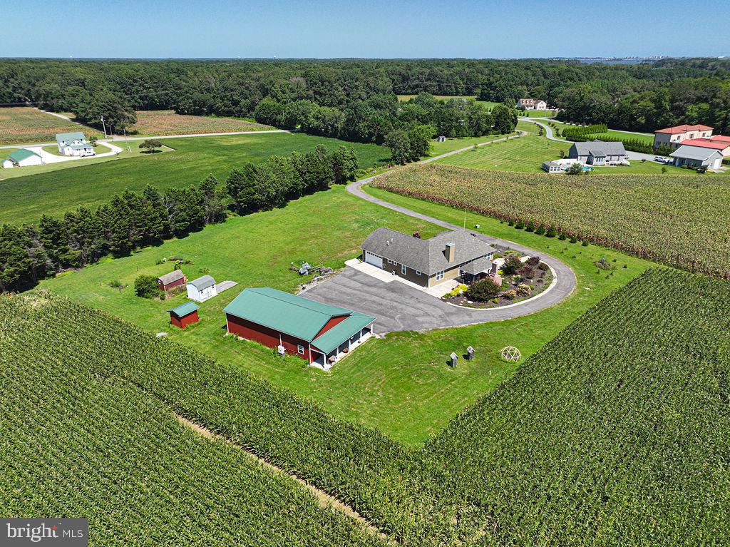 11910 Back Creek Road Bishopville, MD 21813 - Photo 4 of 94 Incredible Pole Building - 5 Total Garage Spaces