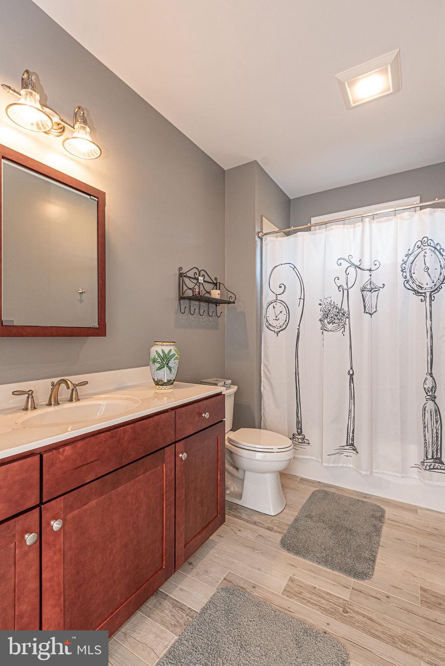 11910 Back Creek Road Bishopville, MD 21813 - Photo 41 of 94 a bathroom with a toilet sink and mirror